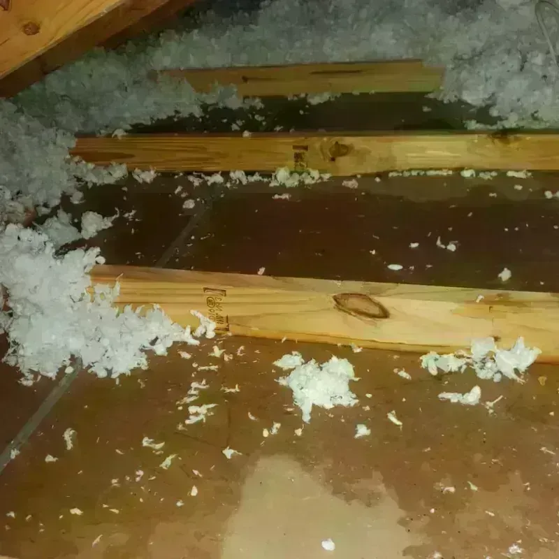 Attic Water Damage in Worthington, IN